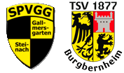 SG tsv spvgg 3