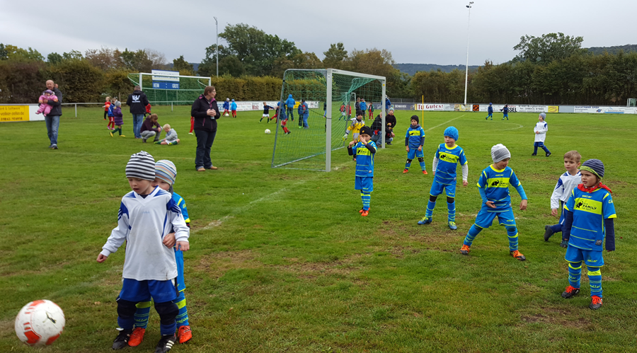 g junioren tsv weigenheim