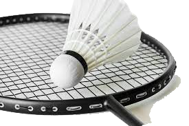 badminton verband