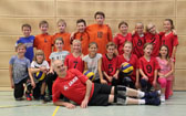 volley damen aufstieg 2016 mini