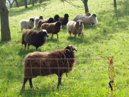 Stefan Schuster 2025