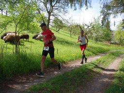 Stefan Schuster 2025